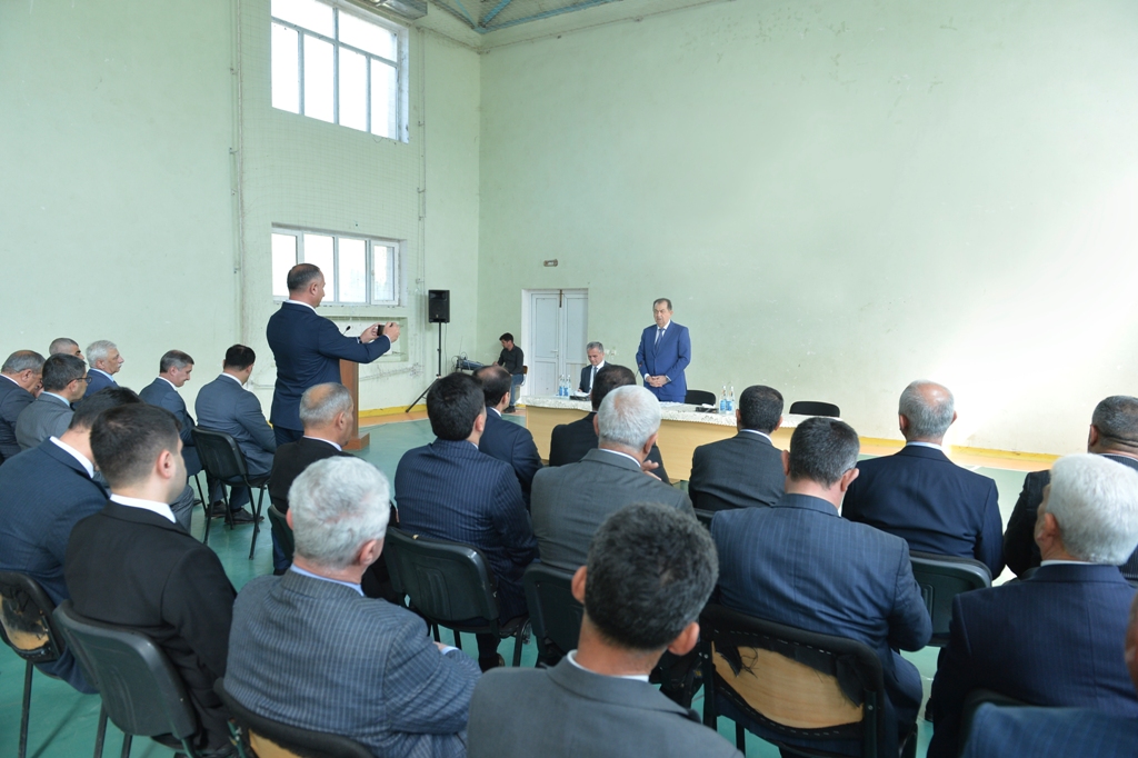 1_DCS8919 copy.jpg.jpeg