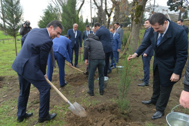 Lənkəranda ”Zəfər Günü”nün beşinci ildönümü ilə əlaqədar 2000 ağac əkilib