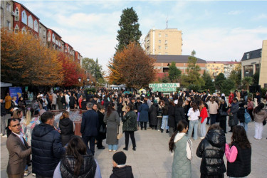 Lənkəranda “Yaşıl Dünya Naminə Ekofestival” keçirilib