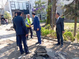 Lənkəranda abadlıq işlərinə start verib