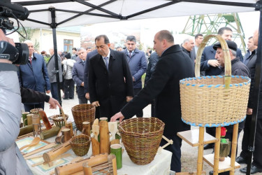 Lənkəranda "II Flaminqo Festivalı" keçirilib