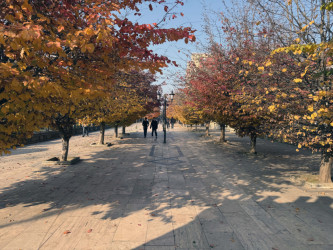 AZƏRTAC bölgə müxbirinin Lənkərandan çəkdiyi fotoları paylaşıb