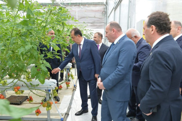 Lənkəranda “Regionlarda peşə təhsili: imkanlar və perspektivlər” mövzusunda Təhsil Forumu keçirilib