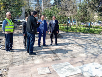 Lənkəranda abadlıq işlərinə start verib