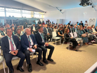 Taleh Qaraşov WUF 13 çərçivəsində keçirilən “UNESCO-nun Yaradıcı Şəhərləri və Dayanıqlı Şəhərsalma” panel sessiyasında iştirak edib