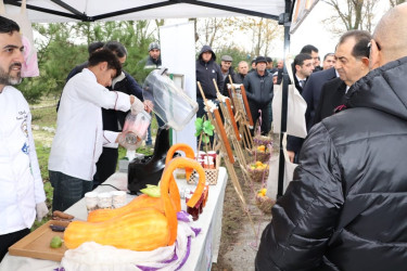 Lənkəranda "II Flaminqo Festivalı" keçirilib