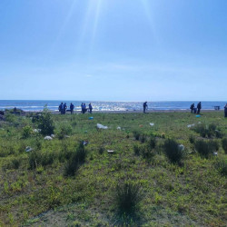 Lənkəranda ictimai çimərliklərdə növbəti ekoloji aksiya keçirilib