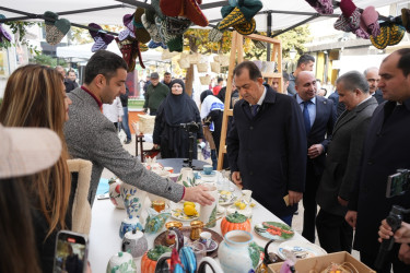 Lənkəranda “Yaşıl Dünya Naminə Ekofestival” keçirilib