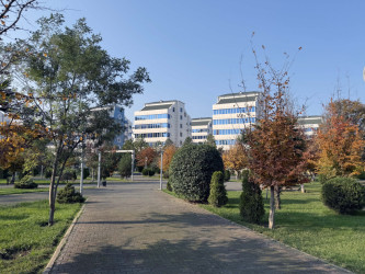 AZƏRTAC bölgə müxbirinin Lənkərandan çəkdiyi fotoları paylaşıb