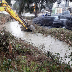 Lənkərana yağan intensiv leysan yağışları nəticəsində bəzi ərazilərdə subasma halları müşahidə edilib