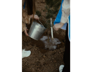 Heydər Əliyev Fondunun vitse-prezidenti, IDEA İctimai Birliyinin təsisçisi və rəhbəri Leyla Əliyeva, Bakı Media Mərkəzinin rəhbəri Arzu Əliyeva və Alena Əliyeva Lənkərana səfər çərçivəsində ekoloji aksiyalarda iştirak ediblər