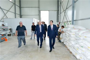 Lənkəranda Dövlət Proqramının icrası çərçivəsində görülən işlər və növbəti hədəflər nəzərdən keçirilib