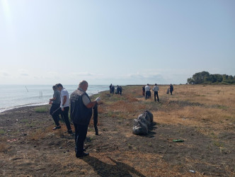 Xəzər dənizinin Lənkəran ərazisindən keçən sahil zolağında növbəti ekoloji aksiya keçirilib