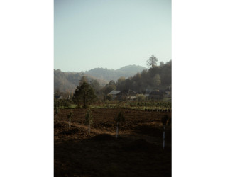 Heydər Əliyev Fondunun vitse-prezidenti, IDEA İctimai Birliyinin təsisçisi və rəhbəri Leyla Əliyeva, Bakı Media Mərkəzinin rəhbəri Arzu Əliyeva və Alena Əliyeva Lənkərana səfər çərçivəsində ekoloji aksiyalarda iştirak ediblər