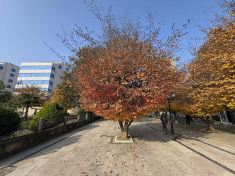 AZƏRTAC bölgə müxbirinin Lənkərandan çəkdiyi fotoları paylaşıb