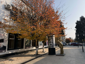 AZƏRTAC bölgə müxbirinin Lənkərandan çəkdiyi fotoları paylaşıb