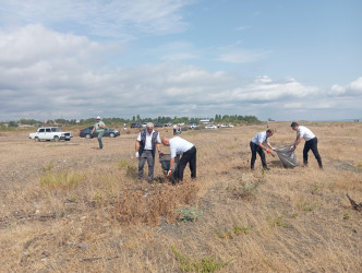 Xəzər dənizinin Lənkəran ərazisindən keçən sahil zolağında növbəti ekoloji aksiya keçirilib