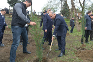 Lənkəranda ”Zəfər Günü”nün beşinci ildönümü ilə əlaqədar 2000 ağac əkilib