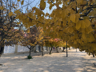 AZƏRTAC bölgə müxbirinin Lənkərandan çəkdiyi fotoları paylaşıb