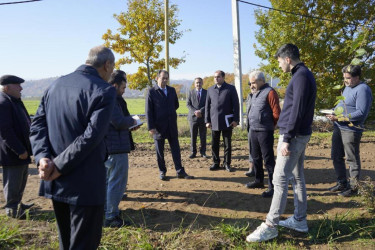 Taleh Qaraşov  Xarxatan kəndində yeni salınan meyvə bağı ilə tanış olub