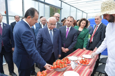 Lənkəranda “Regionlarda peşə təhsili: imkanlar və perspektivlər” mövzusunda Təhsil Forumu keçirilib