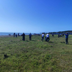 Lənkəranda ictimai çimərliklərdə növbəti ekoloji aksiya keçirilib