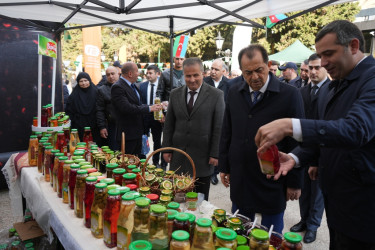 Lənkəranda “Yaşıl Dünya Naminə Ekofestival” keçirilib