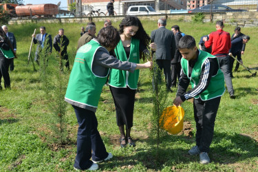 Lənkəranda “Sağlam və dayanıqlı şəhər naminə” adlı növbəti ağacəkmə aksiyası keçirilib