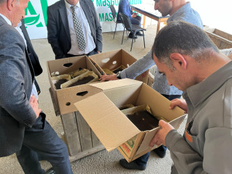 Lənkəranda 2026-cı il barama mövsümü üçün kümçülərə 200 qutu ipəkqurdu toxumu paylanılıb