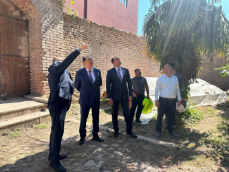 Taleh Qaraşov Lənkərandakı “Dairəvi qala”da aparılan bərpa işləri ilə tanış olub