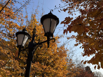 AZƏRTAC bölgə müxbirinin Lənkərandan çəkdiyi fotoları paylaşıb