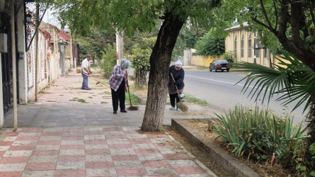 Lənkəranda payız-qış mövsümünə hazırlıqla bağlı abadlıq işləri davam etdirilir