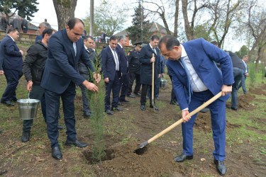 Lənkəranda ”Zəfər Günü”nün beşinci ildönümü ilə əlaqədar 2000 ağac əkilib