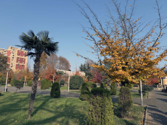 AZƏRTAC bölgə müxbirinin Lənkərandan çəkdiyi fotoları paylaşıb