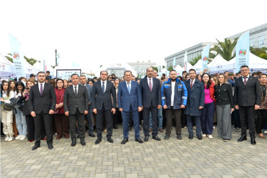 Lənkəranda WUF13 Festivalı keçirilib