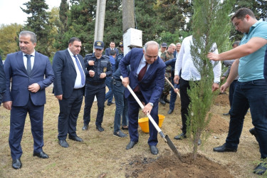 Lənkəranda “Anım Günü”ilə əlaqədar ağacəkmə aksiyası keçirilib