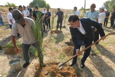 Lənkəranda 27 Sentyabr – Anım Günü ilə bağlı ağacəkmə aksiyası keçirilib