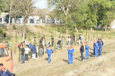 Lənkəranda 27 Sentyabr – Anım Günü ilə bağlı ağacəkmə aksiyası keçirilib