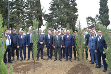 Lənkəranda “Anım Günü”ilə əlaqədar ağacəkmə aksiyası keçirilib