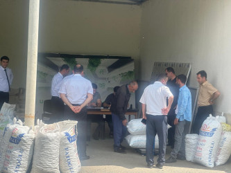 Lənkəran rayonu üzrə barama tədarükünün ilkin mərhələsi baş tutub