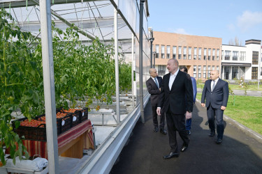 İlham Əliyev Lənkəran Dövlət Peşə Təhsil Mərkəzinin açılışında iştirak edib