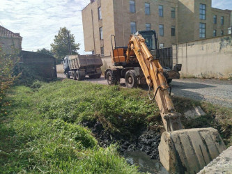 Lənkəranda payız-qış mövsümünə hazırlıqla bağlı abadlıq işləri davam etdirilir