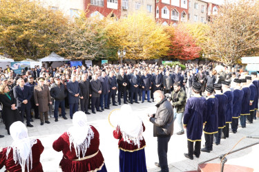 Lənkəranda “Yaşıl Dünya Naminə Ekofestival” keçirilib