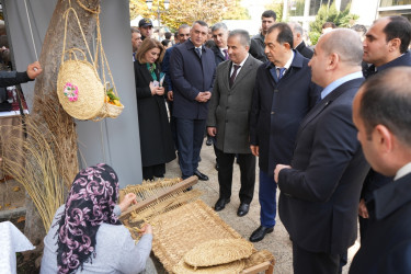 Lənkəranda “Yaşıl Dünya Naminə Ekofestival” keçirilib