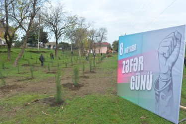Lənkəranda ”Zəfər Günü”nün beşinci ildönümü ilə əlaqədar 2000 ağac əkilib