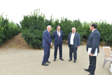 Lənkəranda Dövlət Proqramının icrası çərçivəsində görülən işlər və növbəti hədəflər nəzərdən keçirilib