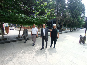 Taleh Qaraşov Lənkəranda “Şəhərsalma və memarlıq ili” çərçivəsində aparılan abadlıq-yenidənqurma işləri ilə yerində tanış olub