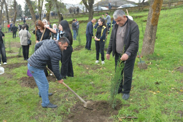 Lənkəranda ”Zəfər Günü”nün beşinci ildönümü ilə əlaqədar 2000 ağac əkilib