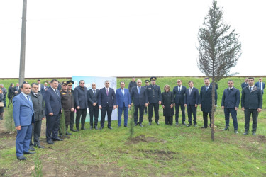 Lənkəranda ”Zəfər Günü”nün beşinci ildönümü ilə əlaqədar 2000 ağac əkilib