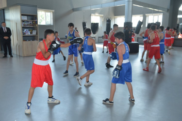 Lənkəranda Cənub Regional Boks Mərkəzi əsaslı təmirdən sonra istifadəyə verilib